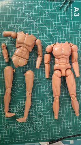 Scale accessories bbi - 1/6,
