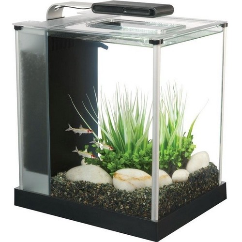 Fluval spec aquarium - fluval, or