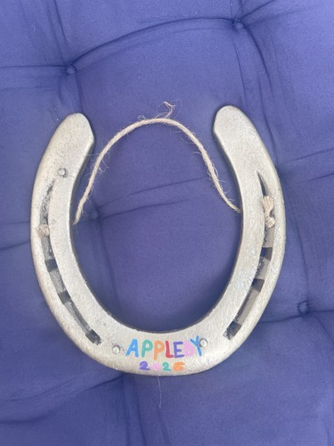 Appleby fair horseshoe - horseshoe, off
