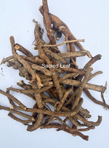 Organic mondia whitei root - whitei,