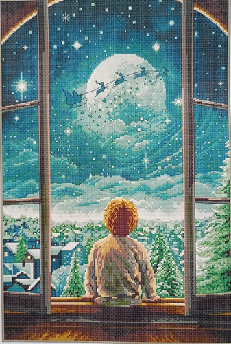 Christmas eve boy 14 - boy,
