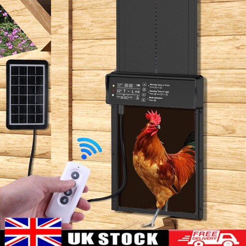 Automatic chicken coop door - chicken,