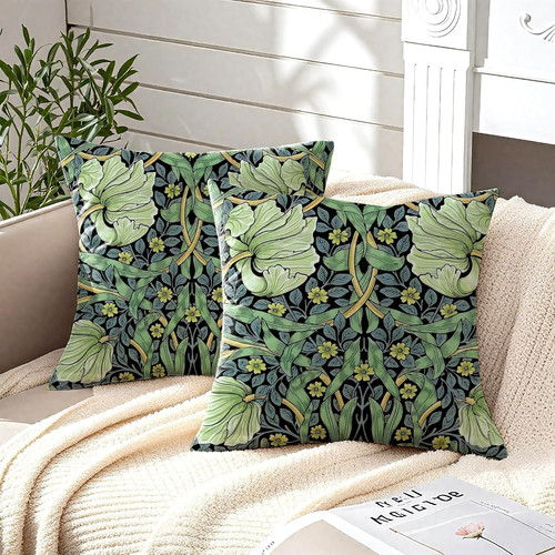 Huashuzi cushion covers - cushion,