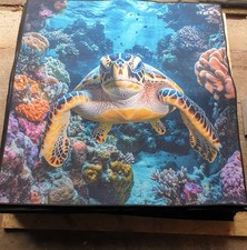 Stunning Custom Made Rug Turtle Mat Bright Coloured 100 x 100 cm 