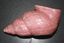 Vintage Shorter And Son