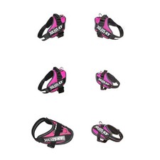 Julius-K9 IDC® Power Dog