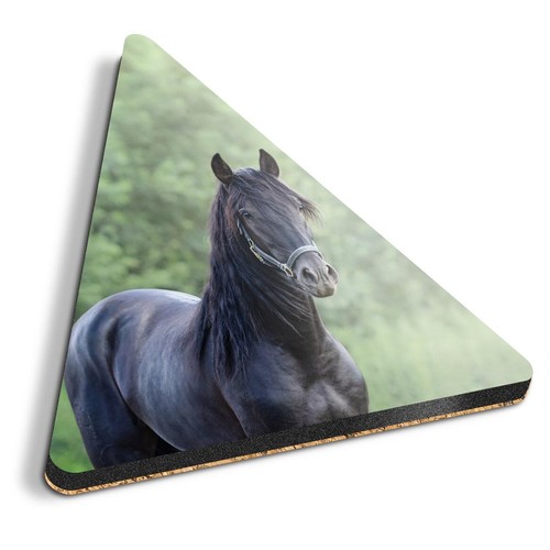 Triangle coaster - 1x,