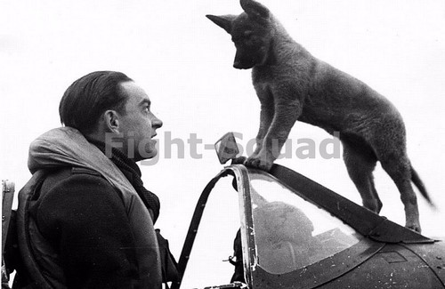 Ww2 photo raf spitfire - raf, pilot