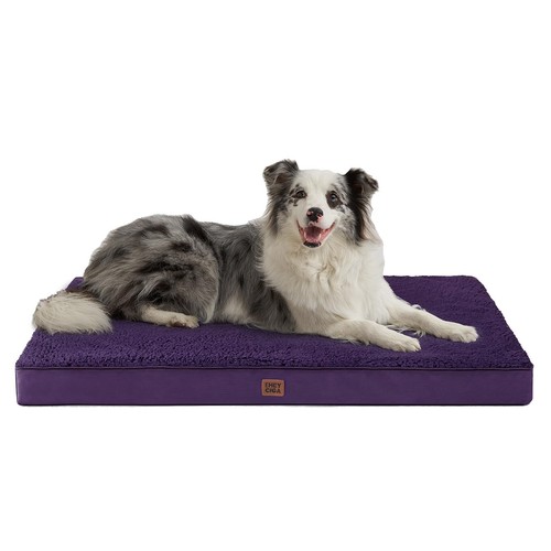 Orthopedic dog bed - orthopedic,