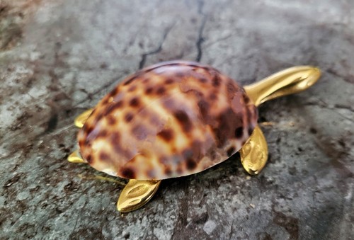 Gold shell turtle tortoise - gold, turtle,