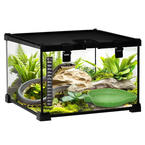 Glass reptile terrarium - reptile,