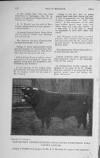 Original Old Vintage Print