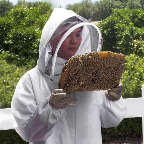 Bee keeping suit white - keeping,