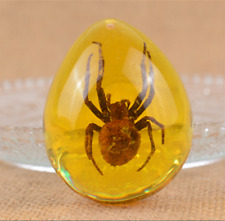 1PC Beautiful Amber Spider Fossil Insects Manual Polishing Drop Shape