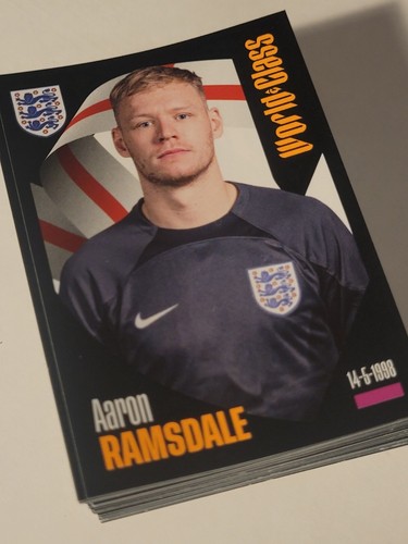 Panini world class 2024 - panini,