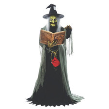 Spell Talking Witch