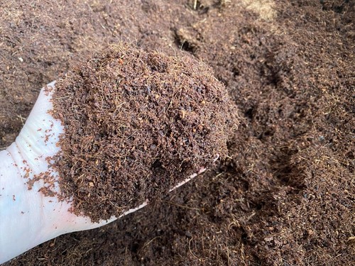 Snail bedding great - great, for