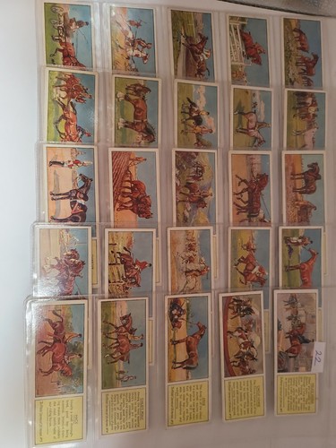 Vintage typhoo tea cards - vintage,