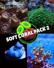 Soft coral pack 2,  4 frags