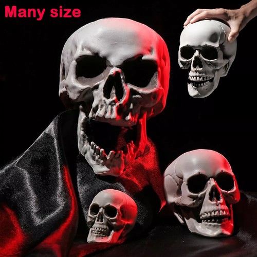 Human skull head skeleton - skull,