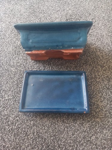 Pre owned bonsai - owned, ceramic