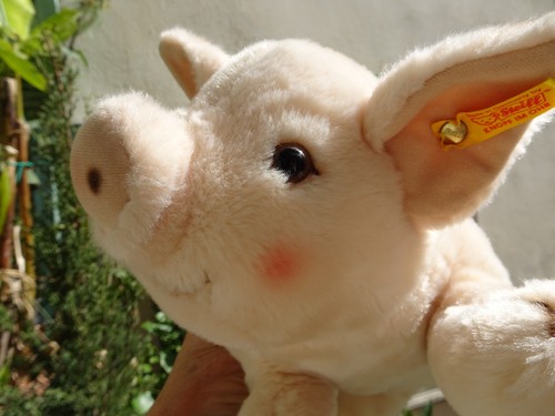 Steiff,pink