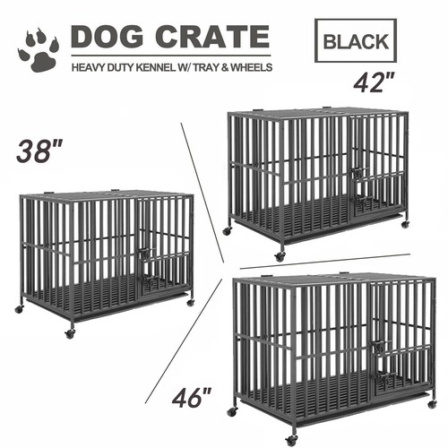 Xxl large dogs - xxl,