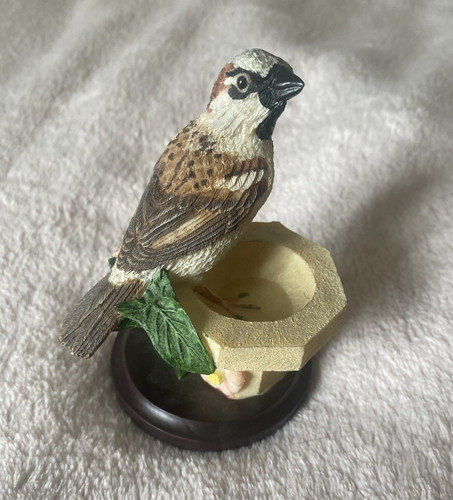 Country bird collection house - collection,