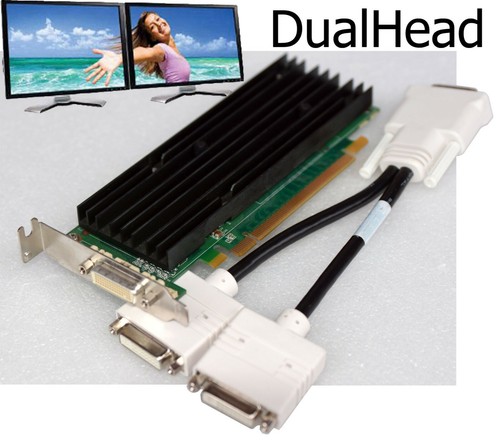 256mb dual head 2xdvi - dual,