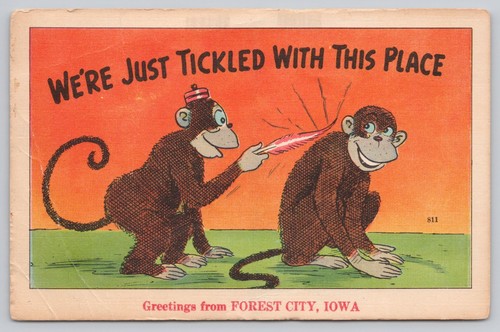 Forest city iowa monkeys - city,