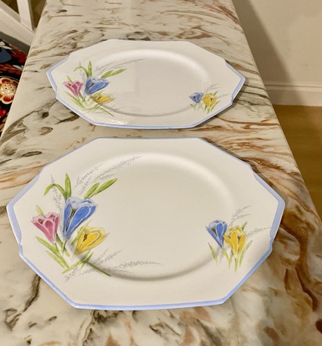 Royal paragon crocus - paragon, art