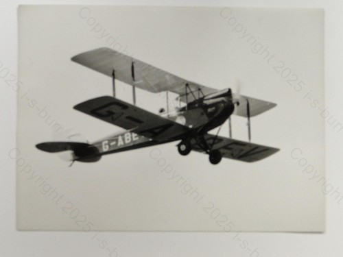 Sue thompson tiger - sue, g-abev