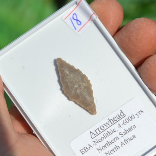 High grade prehistoric - high, prehistoric/