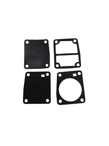 Fuel pump diaphragm repair - ,