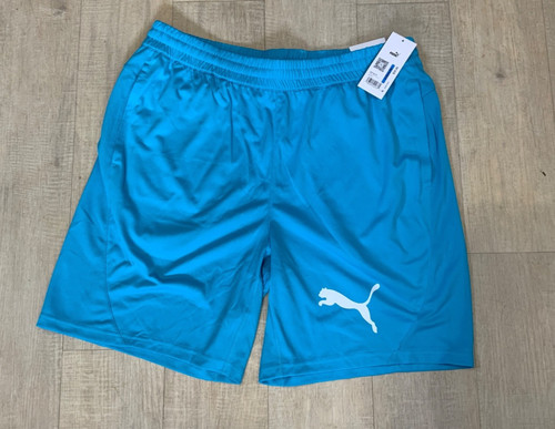 Puma shorts mens - mens, drycell