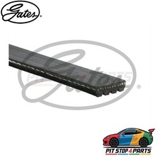 Gates 4PK813 V-Ribbed Belts