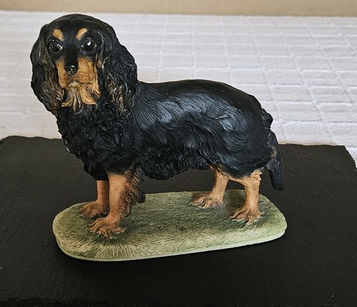 Border fine arts cavalier - border,