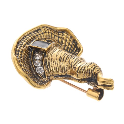 Hat brooch fashion clothes - hat,