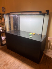 5ft x 2ft x 2 1/2ft Fish tank