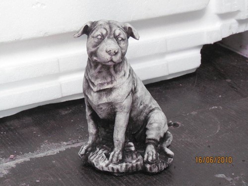 Staffordshire bull terrier - staffordshire,