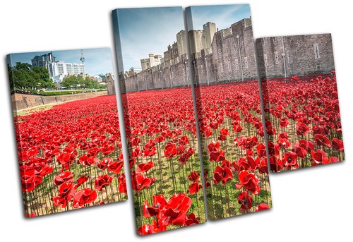 Tower london poppies - tower, of