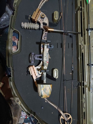 Comp bows hoyt other trx - bows, 1