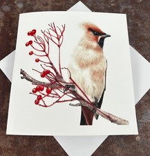 Waxwing Bird Fine Art Card