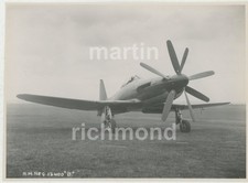 Westland Wyvern Large Original Photo, CX099