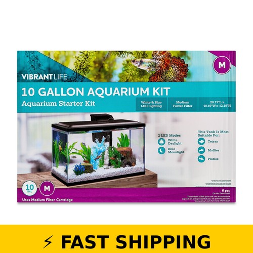 Vibrant life gallon - life, 10