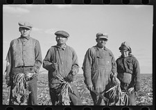 Photo:Mexican sugar beet worker's family near East Grand Forks, Minnesota