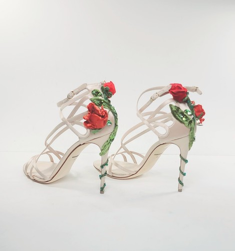 1840 dolce gabbana - dolce, climb