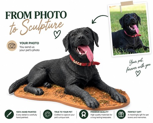 Custom pet sculpture - custom,