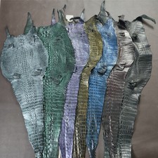 Genuine Alligator Crocodile