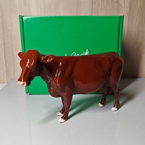 Beswick red poll - poll, cow